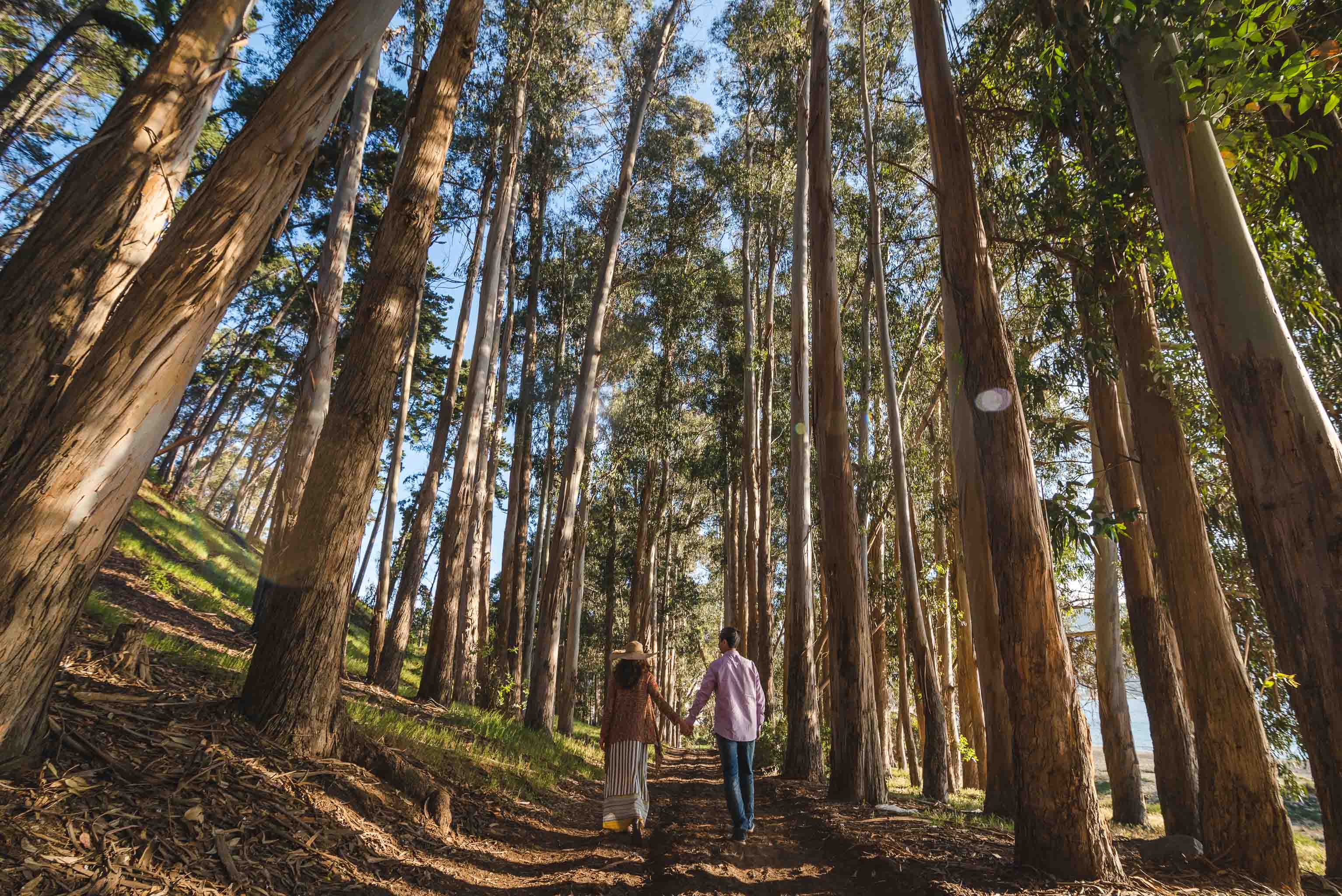 Sesión pre boda-papudo-matrimonio-diego mena fotografia-fotografo de matrimonios