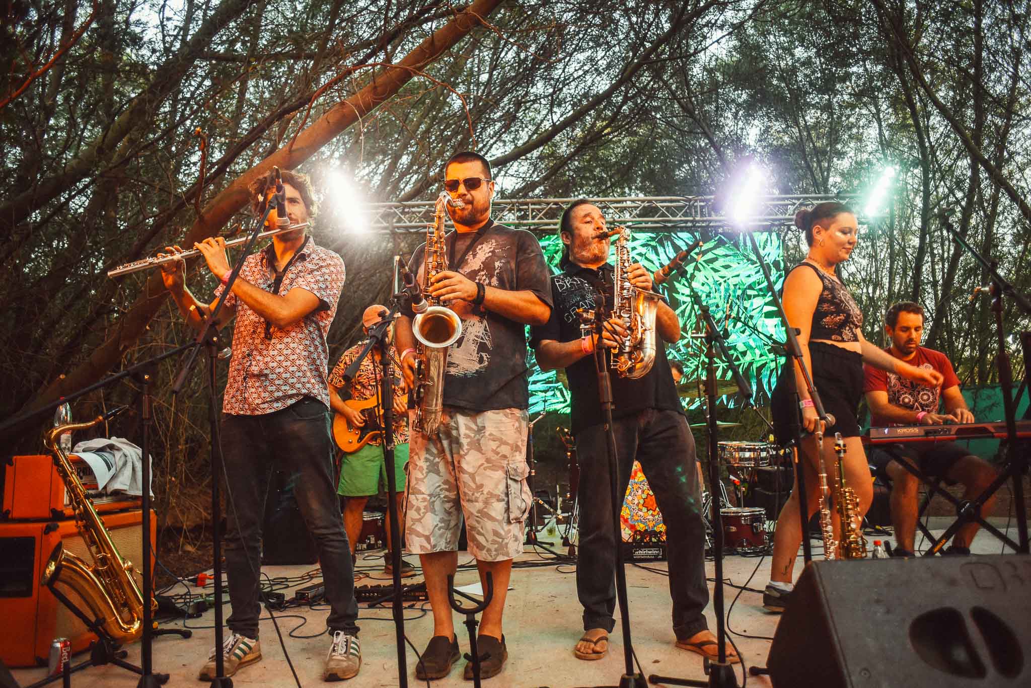 festival woodstaco-parral-media banda
